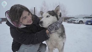 "Доброхвостик": как помочь бездомным животным