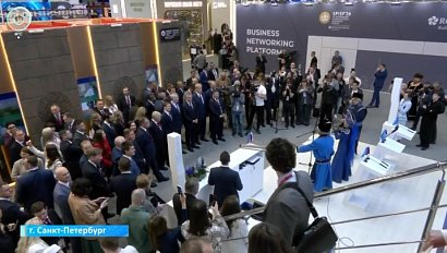 В Новосибирске создадут технопарк для IT-разработчиков