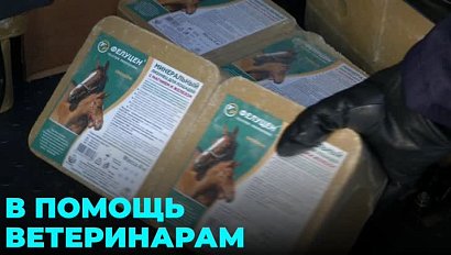 Гуманитарную помощь аграриям отправили из Новосибирска в ЛНР