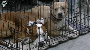 НОВОСТИ УТРА – 27 марта 2026