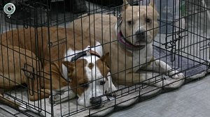 НОВОСТИ УТРА – 27 марта 2026