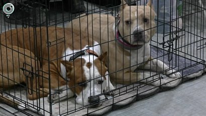 НОВОСТИ УТРА – 27 марта 2026