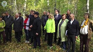 Первозданная природа - в границах Новосибирска. Что поможет сохранить реликтовый лес на Шлюзе?
