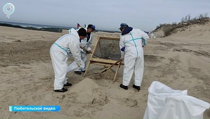 НОВОСТИ в 20:30 – 27 августа 2025