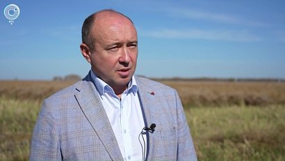 Новосибирская область удивляет урожаем: рекордные сборы рапса, сои и подсолнечника