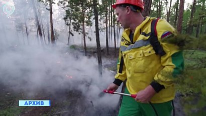 Больше двух тысяч гектаров леса уничтожены огнём в Новосибирской области