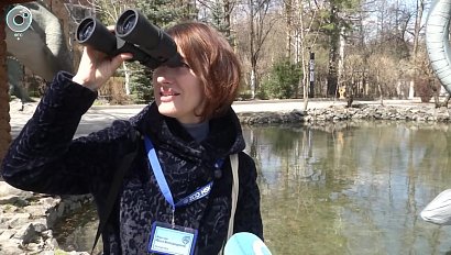 Декада наблюдения за птицами стартовала в Новосибирском зоопарке