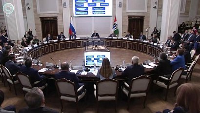 Новосибирское движение "Защитник" рассказывает о своих достижениях и планах