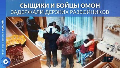 Полицейские задержали двоих предполагаемых дерзких грабителей семьи в селе Ленинское