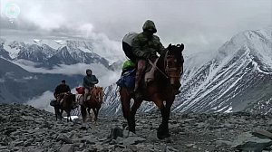 Конную экоэкспедицию в горах Алтая проведут новосибирские волонтёры