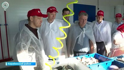 Губернатор оценил развитие Чановского округа и Барабинского района