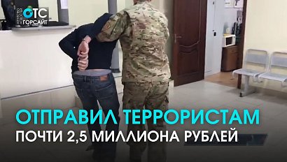 Предполагаемого спонсора террористов арестовали в Новосибирске