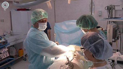 Новосибирские трансплантологи возвращаются к доковидным объёмам работы