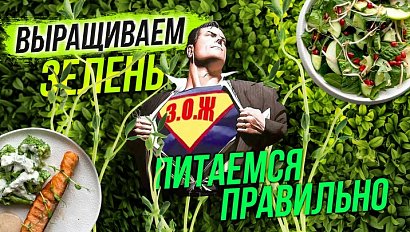 Микроферма / ПП: плюсы, минусы, подводные камни | СТРИМ ОТС LIVE — 26 ноября