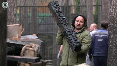 Пожар в Новосибирском зоопарке: последствия и помощь