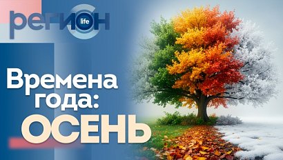 Времена года: осень | ОТС LIVE — прямая трансляция