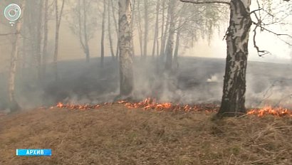 Неутешительные итоги пожароопасного сезона подвели в Новосибирской области