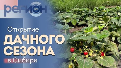 Регион LIFE | Открытие дачного сезона в Сибири | ОТС LIVE — прямая трансляция