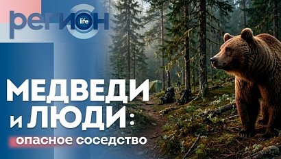 Медведи и люди: опасное соседство | ОТС LIVE — прямая трансляция