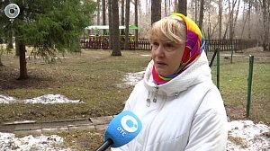Благоустроить сосновый бор могут в Новосибирске