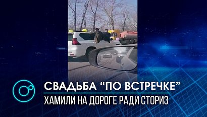 Личности автохамов из свадебного кортежа на Сибиряков-Гвардейцев установили | Телеканал ОТС