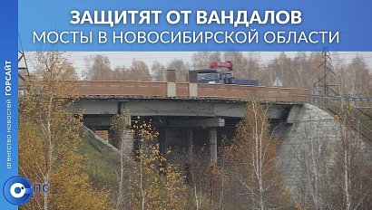 Видеокамеры, сигнализация, металлодетекторы появятся на всех мостах новосибирской области