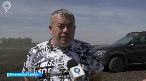 НОВОСТИ УТРА – 11 июня 2026
