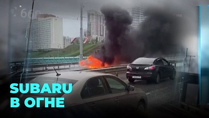 Subaru Forester стал причиной огромной пробки