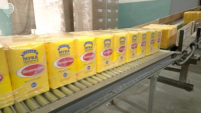 Производство муки в Новосибирской области увеличилось