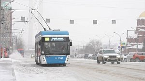 Жителей Новосибирска ожидает сокращение числа троллейбусов на маршрутах