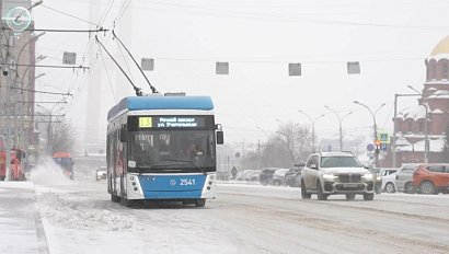 Жителей Новосибирска ожидает сокращение числа троллейбусов на маршрутах