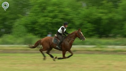 СпортОбзор | 25 июня 2025 | Телеканал ОТС