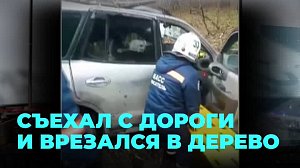 Автомобиль съехал с дороги и врезался в дерево в Новосибирске