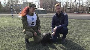 Лучшего четвероногого таможенника выбрали в Новосибирске