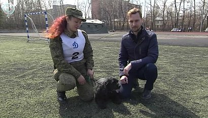 Лучшего четвероногого таможенника выбрали в Новосибирске