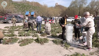 Искусственные нерестилища строят на водоёмах Новосибирской области