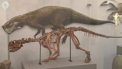 Музей мезозойской эры в НГУ дополнил макет ландшафта крупного местонахождения динозавров