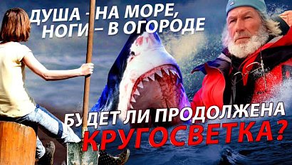 Судно путешественника атаковали акулы / Про огород и экономию | Стрим ОТС LIVE — 12 сентября