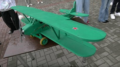 Парк в Новосибирске превратился в аэродром для конкурса моделей самолётов
