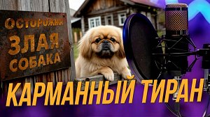 Маленькая собака — большие проблемы: как не воспитать карманного тирана? | Подкаст на ОТС — 3 декабря