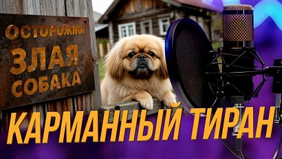 Маленькая собака — большие проблемы: как не воспитать карманного тирана? | Подкаст на ОТС — 3 декабря