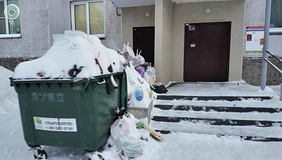 Жители Академгородка страдают от мусора и снега