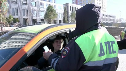 В Новосибирске участились ДТП с арендованными автомобилями