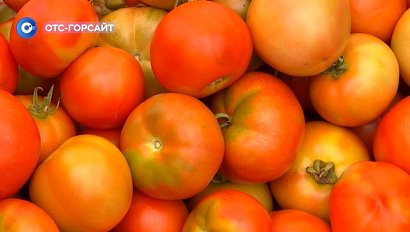 Секреты успешного садоводства: морозы и вредители не страшны