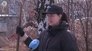Бердчане готовят город к майским праздникам