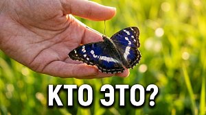 Эко-смены в деревнях: дети изучают природу вместе с учёными
