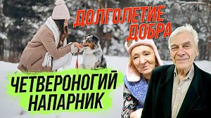 Четвероногий напарник / Долголетие добра | СТРИМ ОТС LIVE — 28 ноября