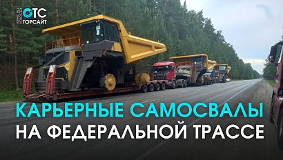 Колонну карьерных самосвалов остановили под Новосибирском. Виновникам грозит штраф