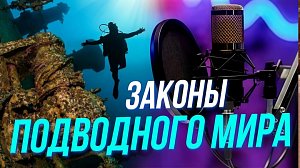 Готовимся к первому погружению под воду с инструктором по дайвингу | Подкаст на ОТС — 12 мая
