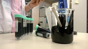 Новосибирские учёные улучшили свойства органических удобрений